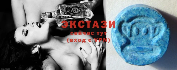 СК Новозыбков
