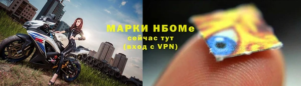 ECSTASY Новодвинск