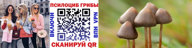 магазин продажи наркотиков  hydra рабочий сайт  Галлюциногенные грибы GOLDEN TEACHER  Ессентукская 
